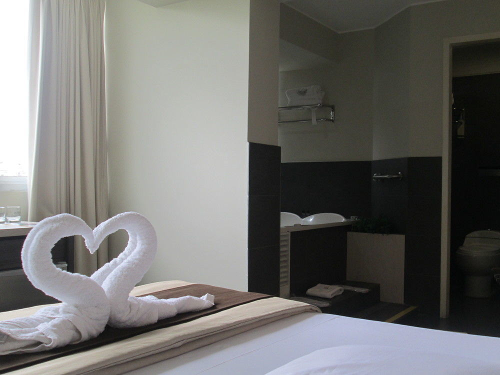 Palmetto Business San Miguel Hotel